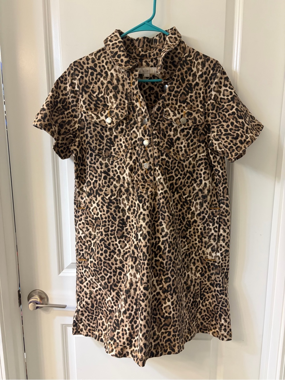 LOFT Brown and Black Leopard Print Dress
